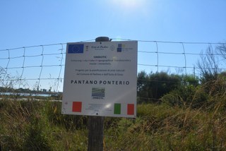 Pantano Ponterio